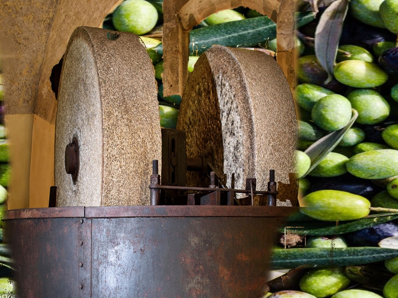 Sicilian Olive Oil Press